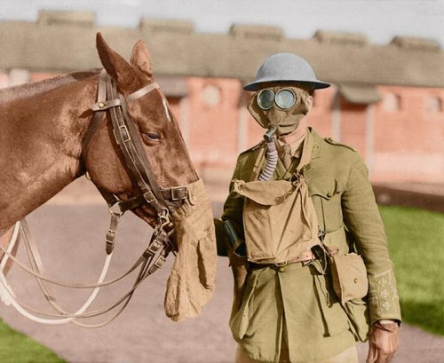 On the 100th anniversary of the US entry to World War I, these vivid colorized photos bring the Great War to life