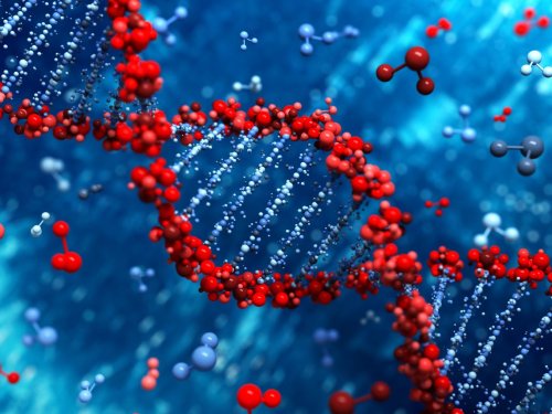 Scientists just confirmed there's a second layer of information hidden in our DNA