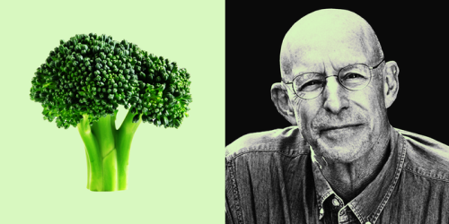Michael Pollan says broccoli is better than any supplement — here's why