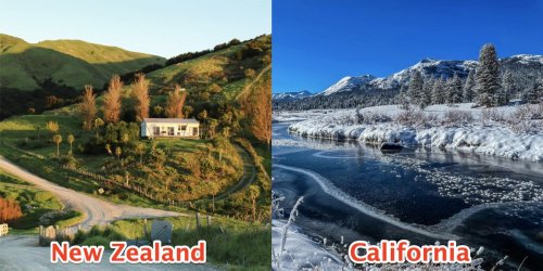 I moved from New Zealand to California. Here are 9 things that surprised me.