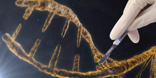 The major concern about a powerful new gene-editing technique that most people don't want to talk about