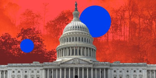 Millennials and Gen Z want to stop a climate catastrophe. But first they have to get elected.