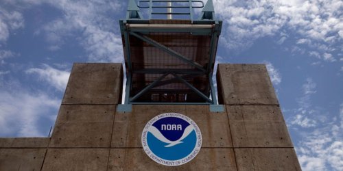 NOAA's top scientist tried to get the White House on board with its science ethics policy. He got demoted by email instead