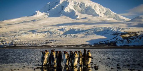 Photos show the Heard and McDonald Islands, the remote territory full of penguins and seals Trump hit with a 10% tariff