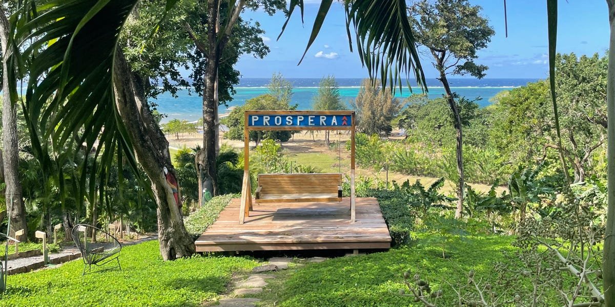 Welcome to Próspera, the private paradise of libertarians, tech entrepreneurs, and biohackers