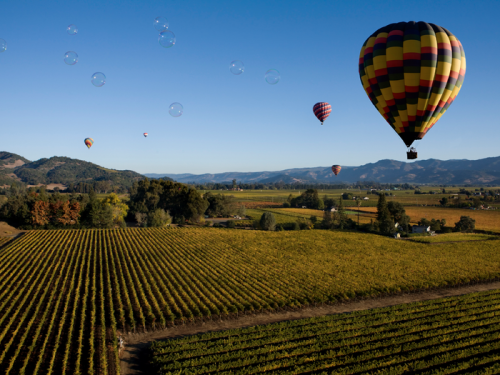 I grew up in the Napa Valley — here's what I tell my friends to do when they visit