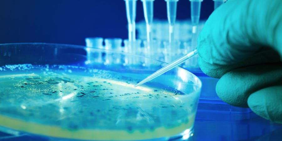 Microbiology cover image