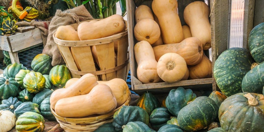 SQUASH, PUMPKINS & GOURDS (CURCUBIT) OF EVERY SHAPE AND MEASURE - cover
