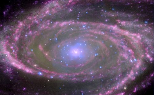 Every Black Hole Contains a New Universe
