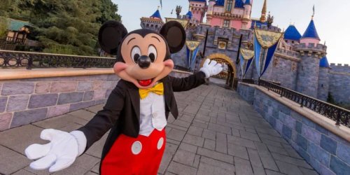Disney Enacts “No Bag Policy”, Ban Begins During Summer 2024 Event