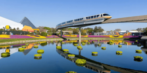 Disney World Monorail Abruptly Closes to All Guests