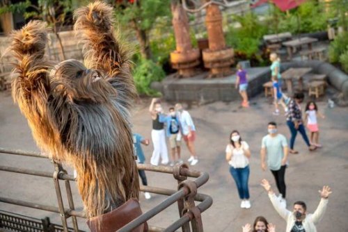 WATCH: Stormtroopers Barge Into Oga’s Cantina at Disneyland