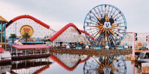 Controversial Disney Penalty Continues Refusing Guests Entry