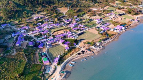 Drenched in purple, South Korean islands draw tourists