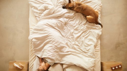 3 Surprising Reasons Why You Need Adequate Sleep