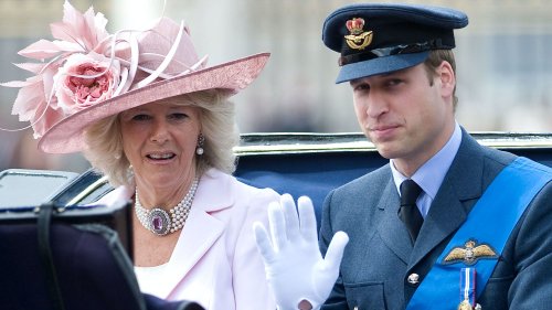 Prince William Reportedly "Made it Clear" That Camilla Is Not His Children's "Step-Grandmother"