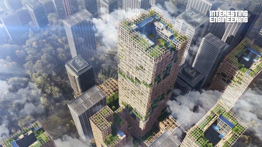 How Viable and Practical Are Wooden Skyscrapers?