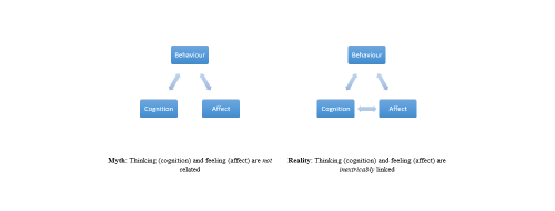How Emotions Impact Cognition