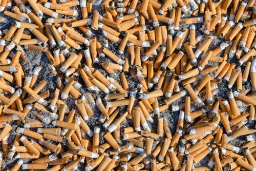 Pollution from cigarette butts cost world US $186 billion in 10 years