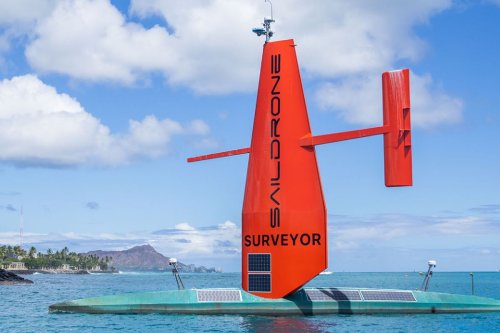 Autonomous sailing drones deployed to protect marine life