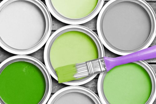 5 Fascinating Facts About the Color Green