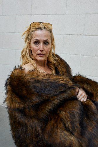 Gillian Anderson and Helena Bonham Carter Have a Very ...
