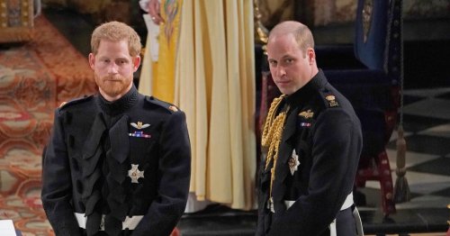 Prince William Is ‘Basically a Billionaire’ While Prince Harry Is ‘Fearful of Going Broke’