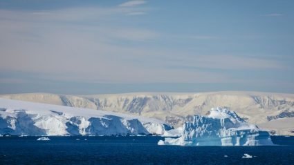 How can a responsible tour operator still run trips to Antarctica?