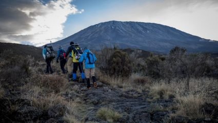 How Kilimanjaro’s porters turned to gardening to survive the pandemic