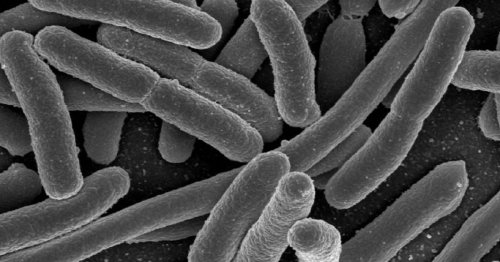 El asombroso número de muertes causadas por bacterias resistentes a los medicamentos