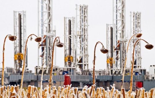 Ölpreise geben nach - US-Ölreserven steigen deutlich
