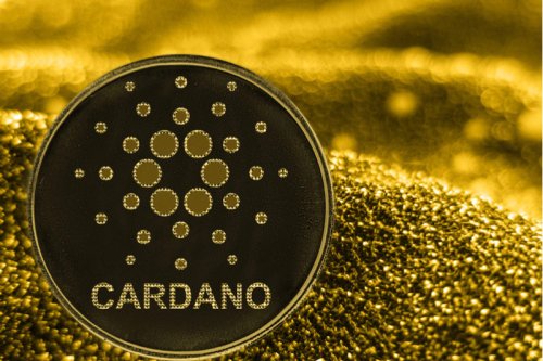 Cardano stablecoin project gambled away investors’ money before rug: Report