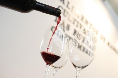 Weinbauern in Bordeaux fordern Prämie für Stilllegen von Weinbergen