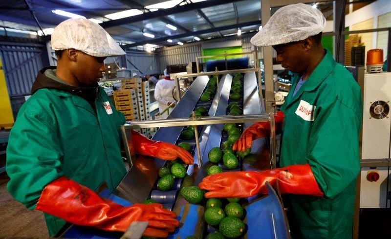 Analysis-China’s African tariff removals, trade surge spur yuan adoption
