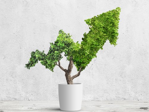 Four reasons why ESG is here to stay