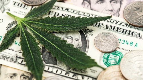 3 Cannabis Stocks That Should Be on Every Investor’s Radar This Fall