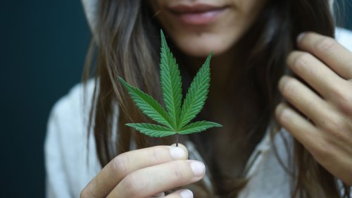 The 7 Best Cannabis Stocks to Buy Now