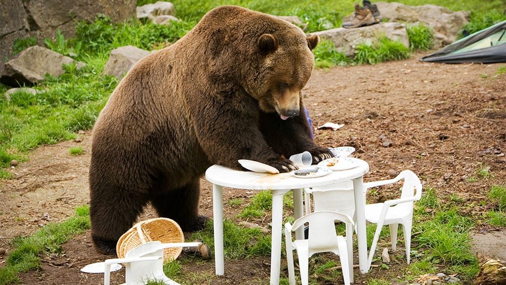 After Ugly Market Reversal, What To Do