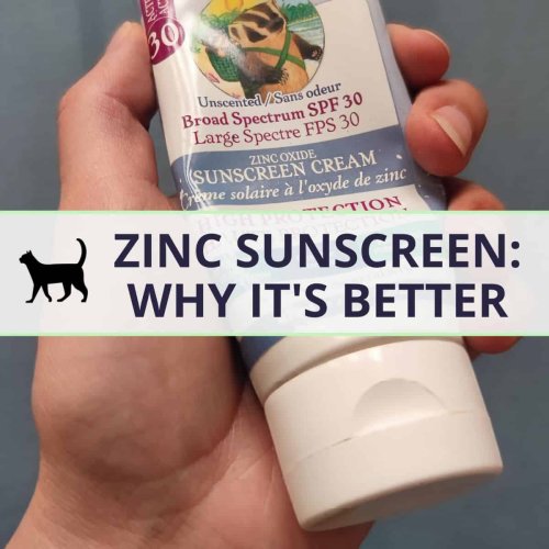 Zinc sunscreen: The good, the bad, and the recommendation