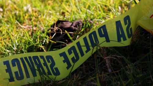 Multi-agency task force rescues kidnapped Portuguese buisness man in Johannesburg