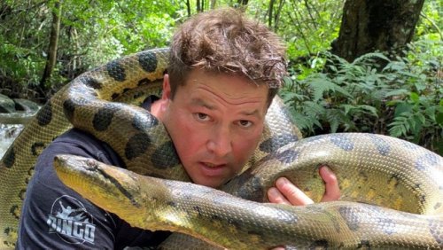 WATCH: Wildlife crusader who took anaconda on Uber rides says it was a unique way to get animals into people’s hearts