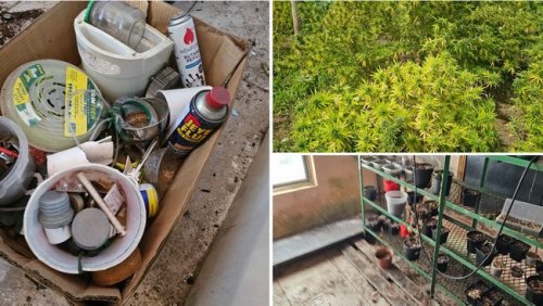 PICS: Dagga-infused chocolates, magic mushrooms, guns and ammunition seized as Hawks raid drug labs
