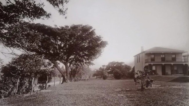 The missing home of Durban wool merchant