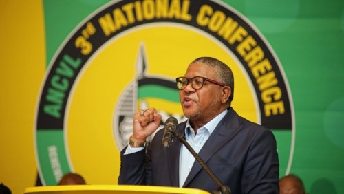 ‘SA is full of Pakistanis!’ ANC SG Fikile Mbalula says only locals should run spaza shops