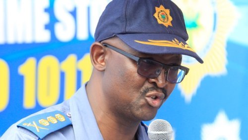 ‘Magic mushrooms’ farming, drugs unearthed as Operation Shanela rocks Sunnyside, Pretoria areas