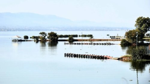 Hyacinth at Hartbeespoort Dam signals the slow death of our environment
