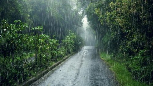 Durban's rainfall exceeds annual average just four months into 2025
