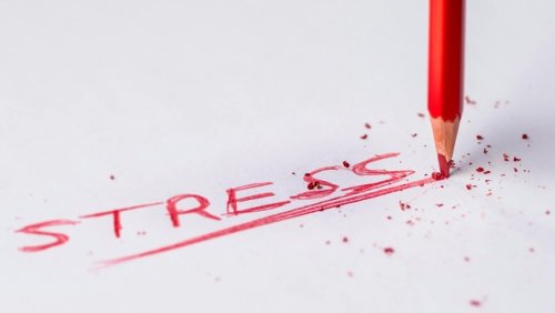 5 simple steps to break free from a chronic stress cycle
