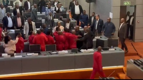 ANC and EFF councillors come to blows at Ekurhuleni council meeting over mayor’s no confidence vote