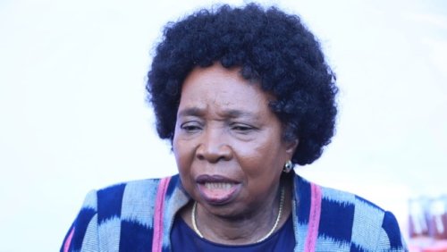 Outgoing Minister Dlamini-Zuma admits catching free flight to Namibia